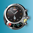TIMEX WATCHES - Timex Watch-008